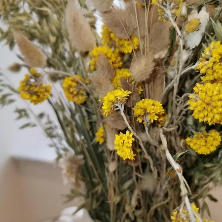 Via Vittorio Emanuele Palermo