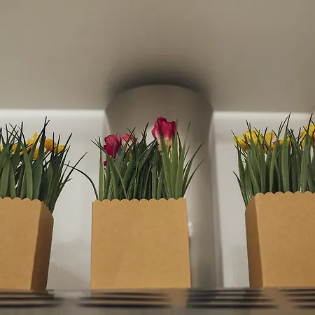 Via Vittorio Emanuele Palermo